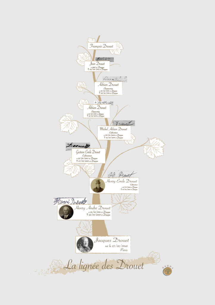 Studio di genealogia Ónoma - Nuovi trend di albero genealogico